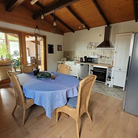 Ruheidylle Weitblick Apartment Kleinich Екстериор снимка