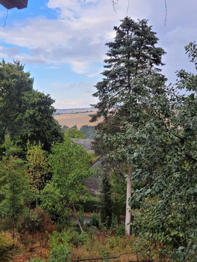 Ruheidylle Weitblick Apartment Kleinich Екстериор снимка